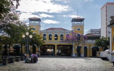 A Magia da Primavera em Florianópolis: Um Guia para Aproveitar a Estação das Flores na Ilha